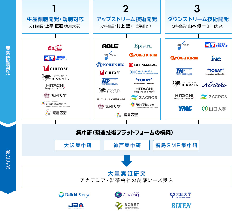 図 研究開発体制